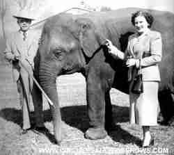 Arnold Maley Esma Wilson