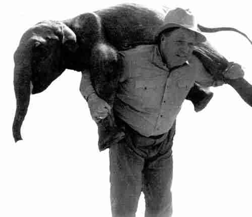 Circus owner Ben Davenport