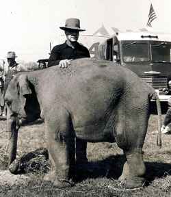 Bill Woodcock animal trainer