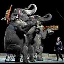 Carson and Barnes Circus