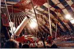 Clyde Beatty Cole Bros Circus