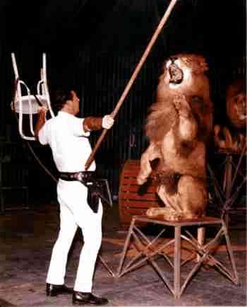 Dave Hoover animal trainer