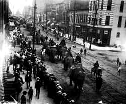 Adam Forepaugh and Sells Bros Circus