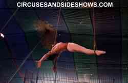 Freddie White Performing