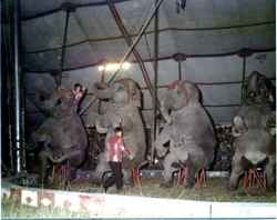 Fred Logan on Clyde Beatty Cole Bros