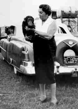 Circus organist with baby chimpanzee