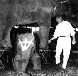 Jack Moore with elephants