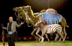 Mike Rice with liberty act