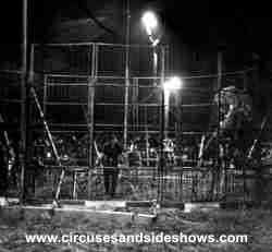 Johnny Golden lion act on King Bros Circus