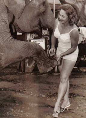 Lois Hoover