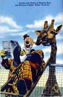 Lou Jacobs Ringling Bros Barnum and Bailey