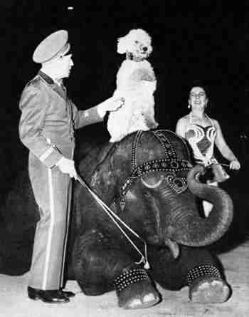 Mack and Peggy MacDonald 