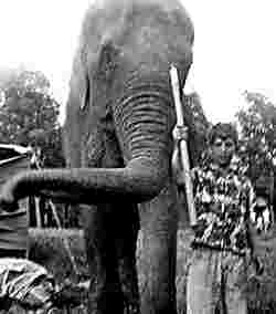 Mike Moore with Mabel