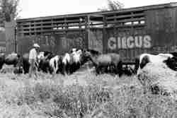 Mills Bros Circus photo 14