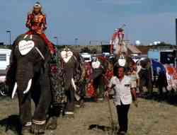 Rex Williams with Circus Vargas herd