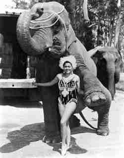the fabulous Rosa Gibbs