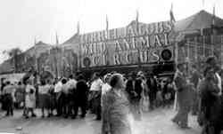 Terrel Jacobs Wild Animal Circus
