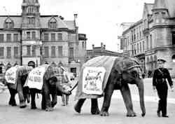 Terrell Jacobs Circus