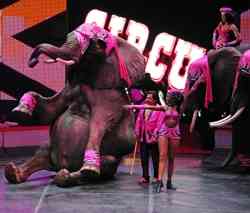 Universoul Circus